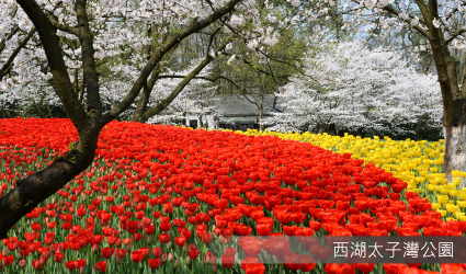 太子灣公園